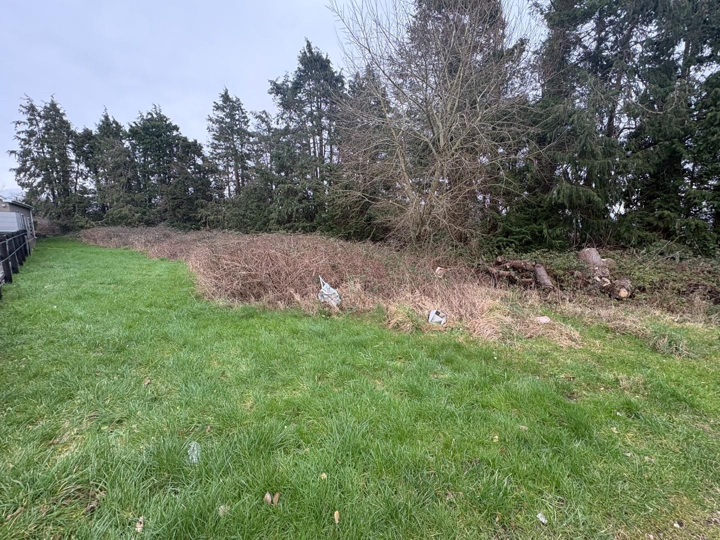 Main Parking and Access Roads (3).JPEG